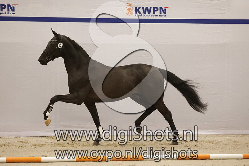 Salvation ES v. Bloomberg