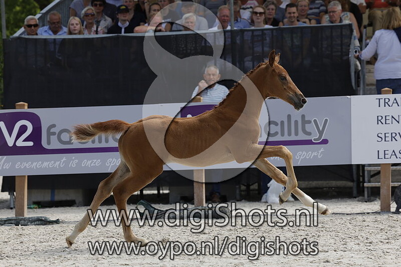 Treasurette MCB v. Nalegro