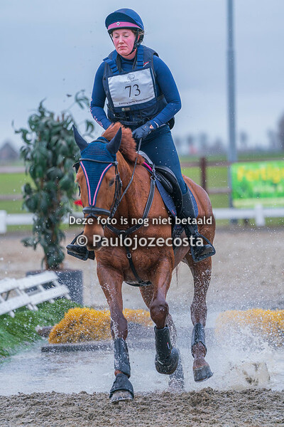 04/02 BB Paard Hoog 