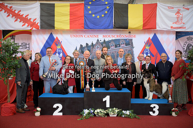 Dogshow Mouscron - Zondag