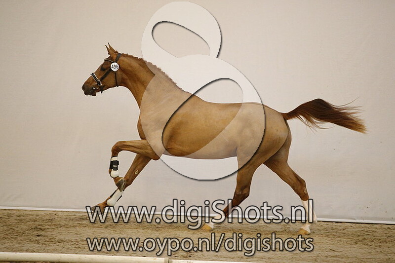 496 Leandro v. Gunner KS