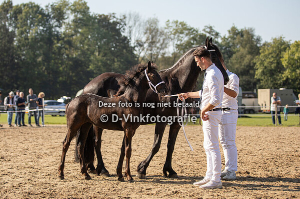 23. Cenna van 't Wilbroek