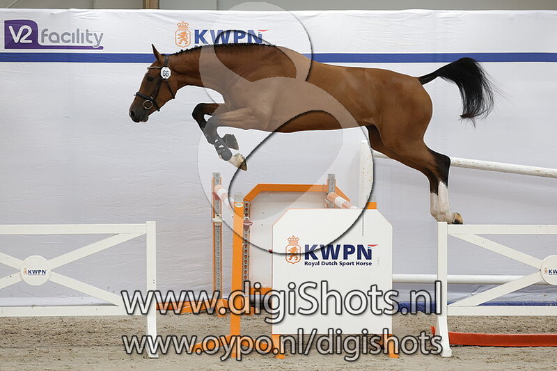 Prezella VG v. Hardrock Z