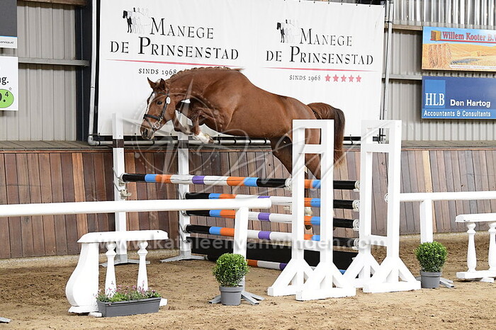 Emy van de Polderzicht