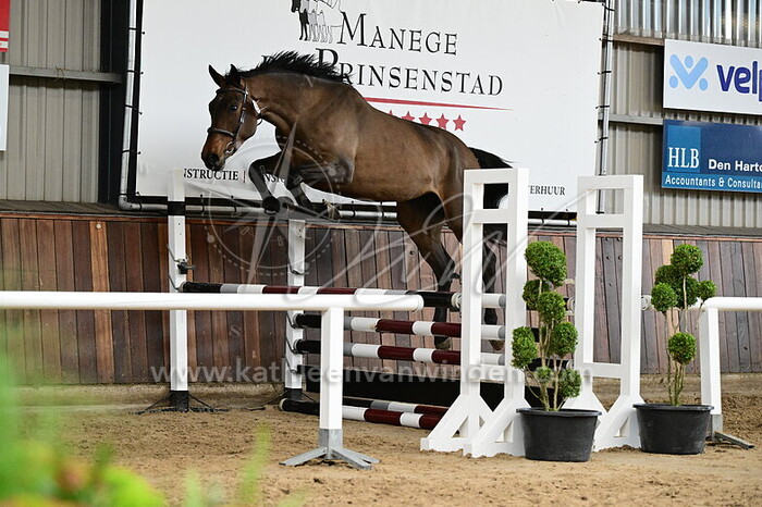 Countdown DK Z - nr. 37