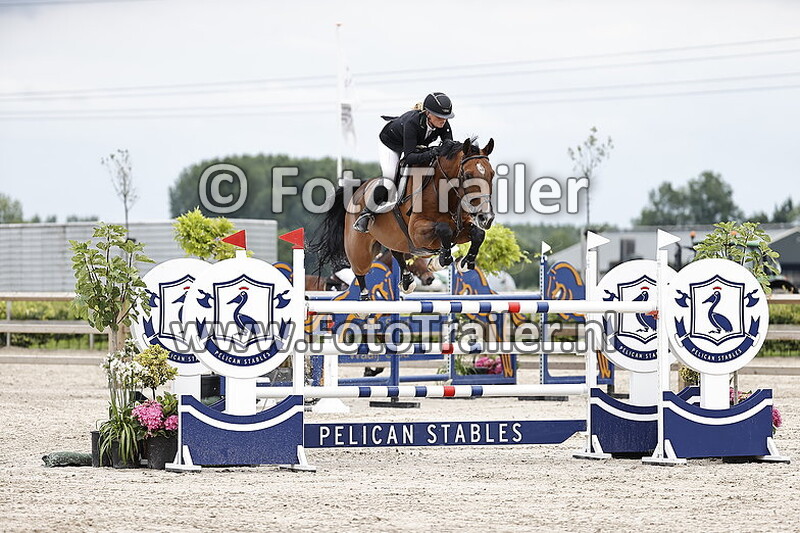 anoek van der pluijm