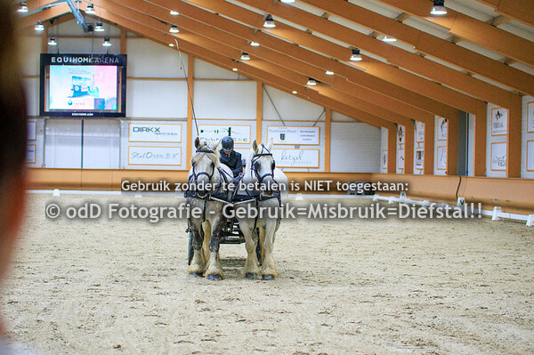 KVTH Tentoonstelling Dressuur Aangespannen 24-08-23