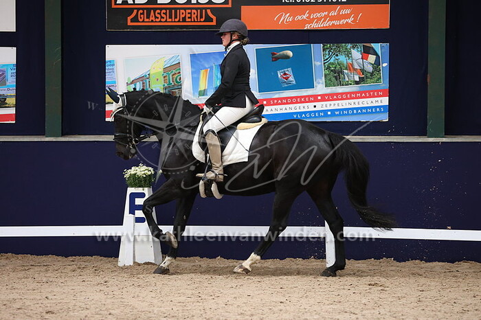 Annika van den Heerik - Gadesse