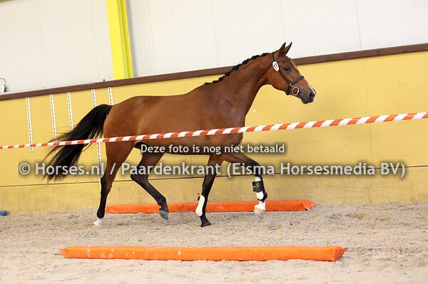 17 Saluti Duit N (Next Pitch x Wadutti v. Future)