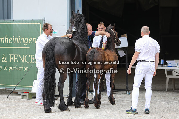 03. Vaes van de Terp