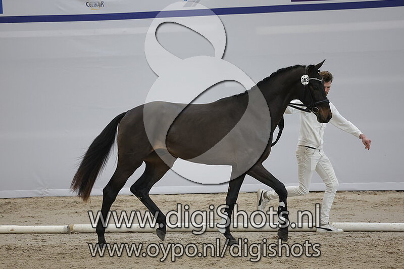Primeur v. Furst Dior - 362