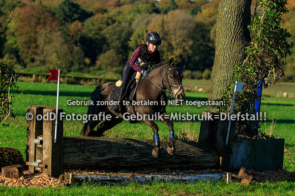 Eventing Barchem 24-10-21