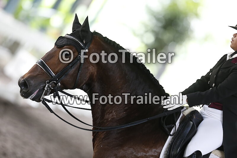 Dara Ninggar Prameswari