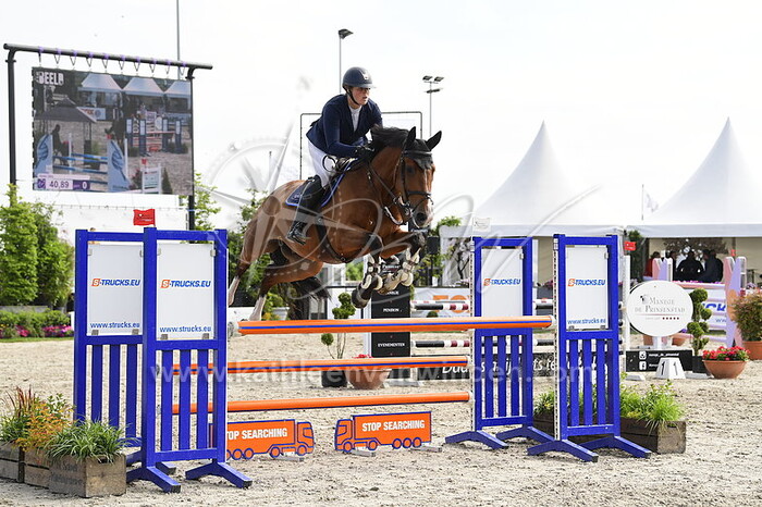 Aniek Diks - Lionhart