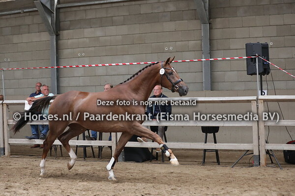 30 Oxeia (Daily Diamond x Ibiza v. Davino VOD) (1)