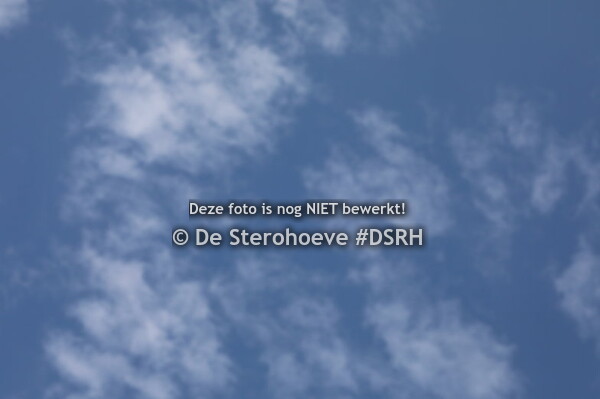 vrouwelijke tweejarigen dressuur