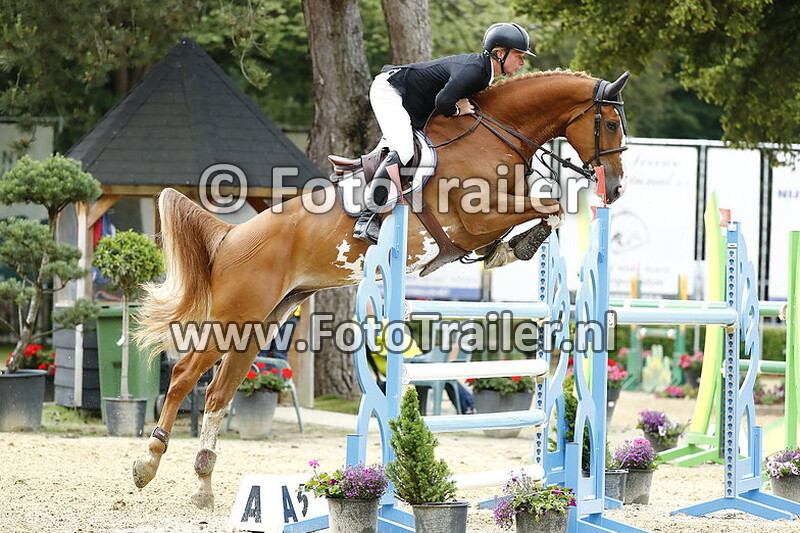 dennis van den brink