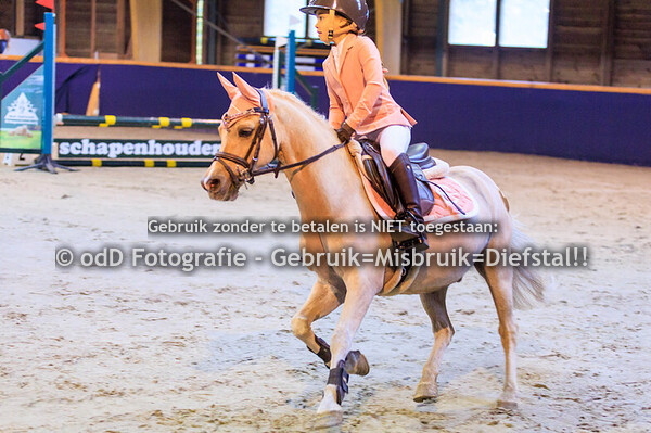 Geldrop Hippique pony 60ab  11-10-25