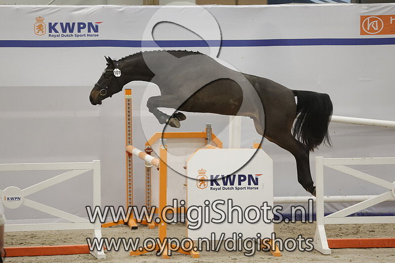 Raikkonen Lk v. Landino VDL - 101