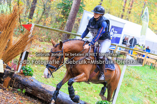 SGW Bathmen paard B-md 01-11-25