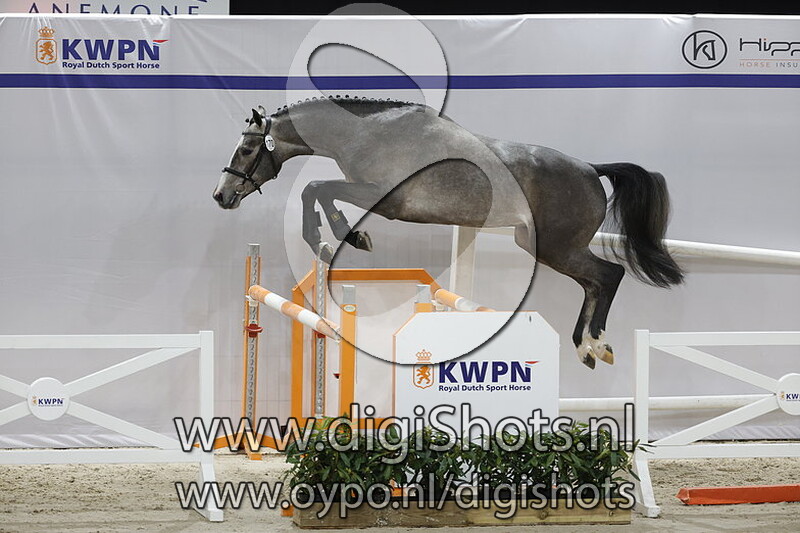 Obri JS v. Quabri de L Isle