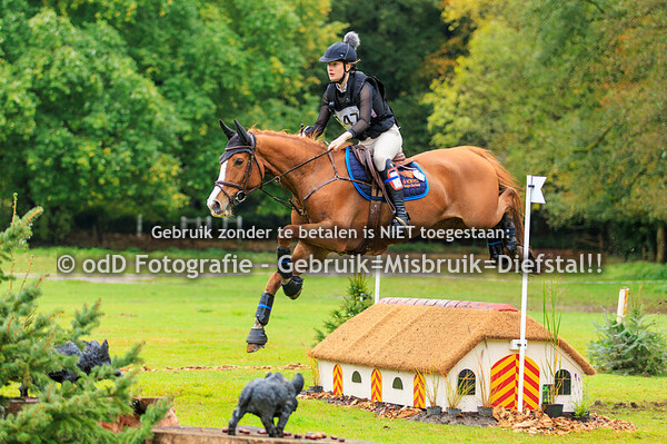 Molecaten Ruiterdagen Hattem Paarden L 19-10-24