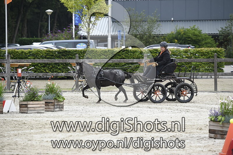 Natasja Verheul Zegel