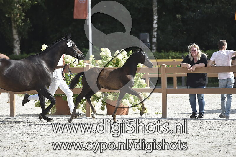 Nora Laika L v. Ebony