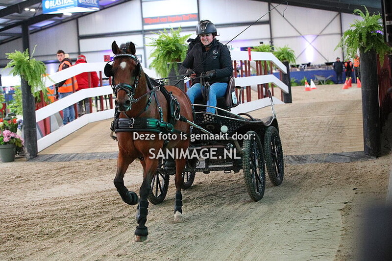 De Voornruiters Menmarathon 04-10-2025 pony's enkelspan (10.40 uur)