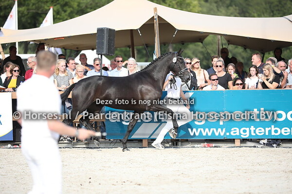 207 Lillyfee (Glock's Toto jr x Emara v. Ziesto)