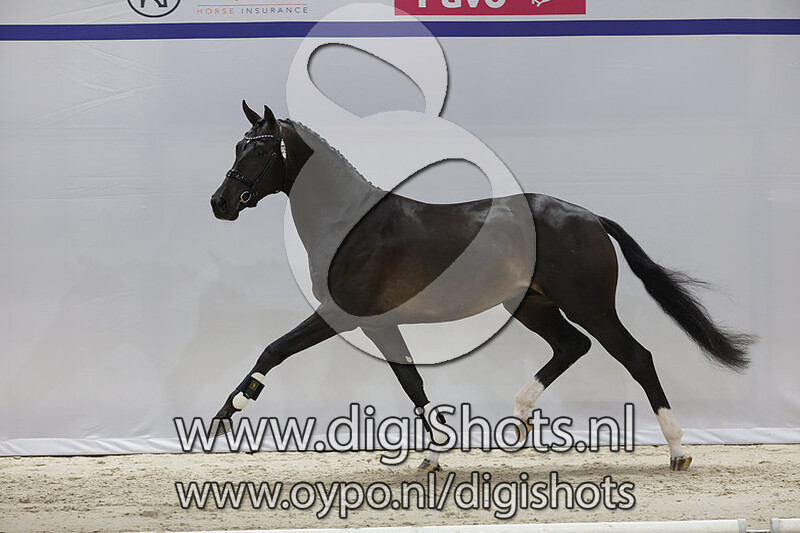 O Roark v. For Ferrero