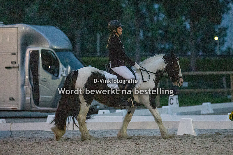 Willemijn Oosthoek - Tinkerbel