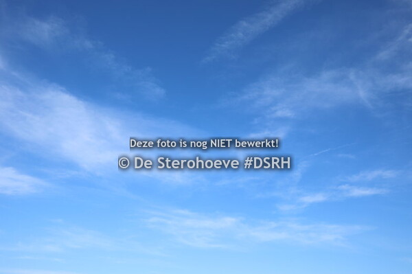 4.Jeugdkampioenschap dressuur