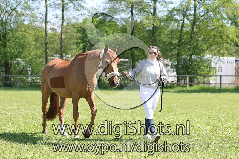 Millesime de L Auslese