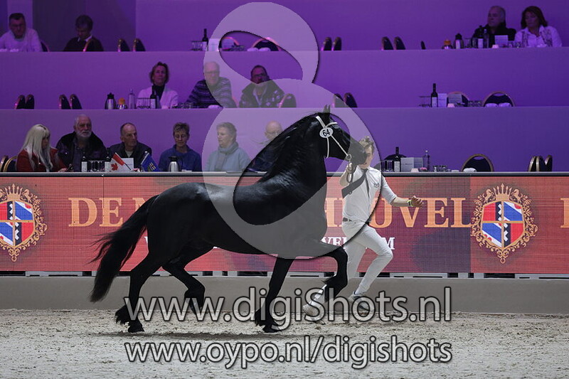 Ysbrand D fan e Ridderdijk