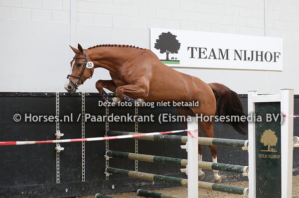 32 Loreane (Cape Coral RBF x Cirane v. Numero Uno)