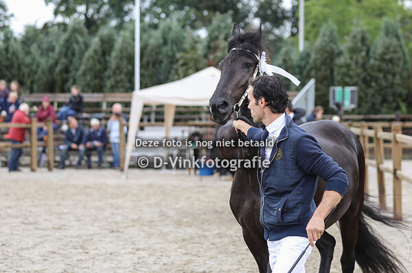 106. Nienke van de Terp
