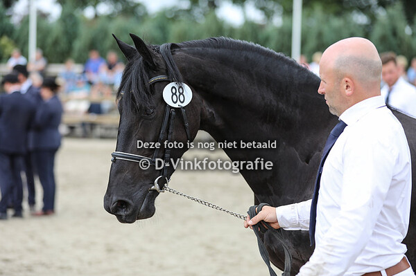 88. Jitske M van de Statenboom