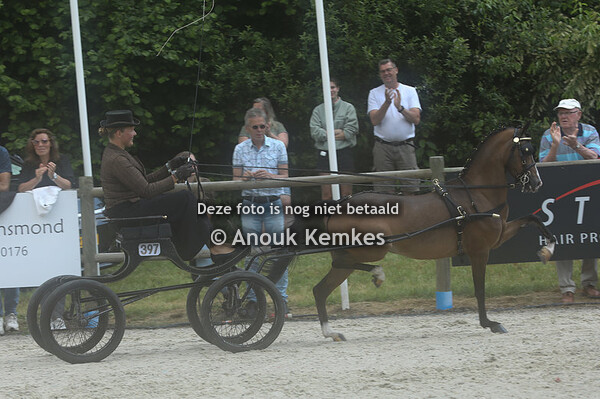 Hackney Grote Limiet