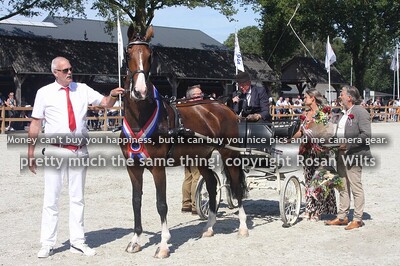 Lindrini, Paard van het Jaar 