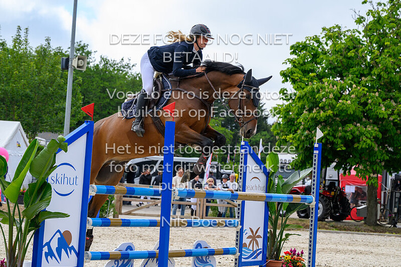 15 Klassiek paarden 1.20 m MB-ZB