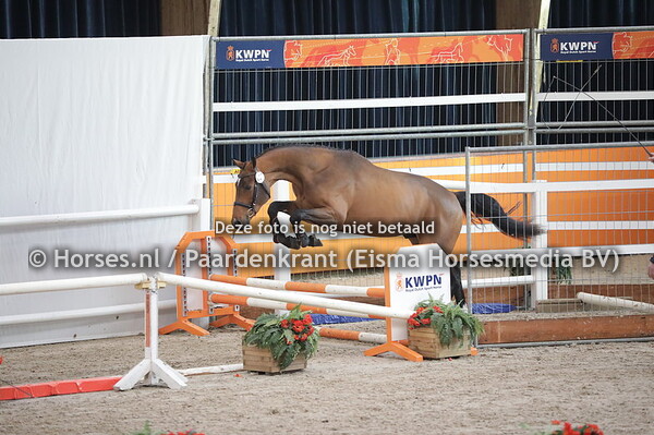 190 Neil (Untouched x Bloom du Plessis v. Oient Express)