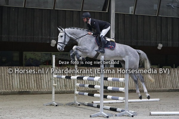 3 Lola (Cardento x Valencia v. Tangelo vd Zuuthoeve) Rob van Bussel (1) - kopie