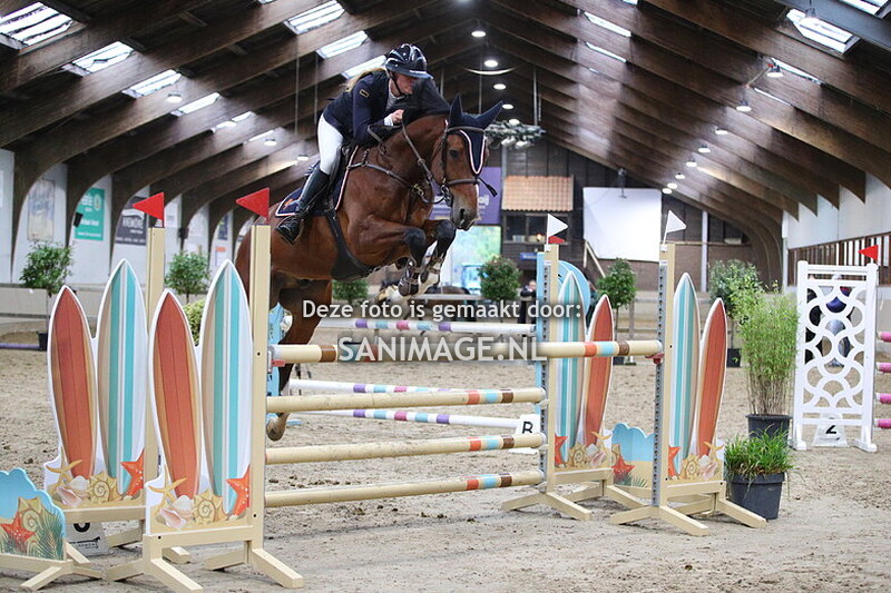 Zilfia's Hoeve springen paarden 25-10-2025 110-120 cm