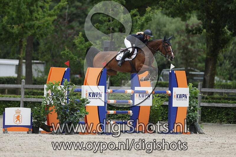 Palma balia van seldsum