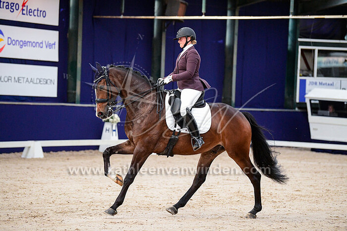 2022-11-04 en 06 Oosteind