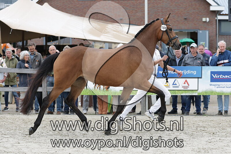 Sophisticated Lady v. McLaren