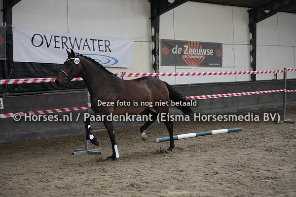 30 Larieta Tezel (Ferdinand x Arieta Texe v. Jazz)l