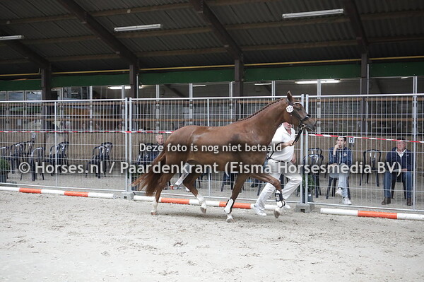 130 Maradin SV (For Romance x Faradin v. Jazz)
