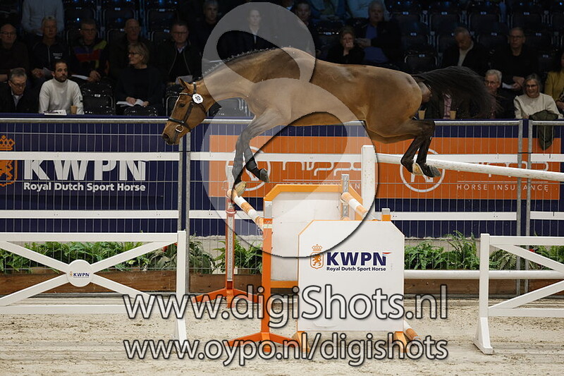 Redford VDL v. Arezzo VDL - 010